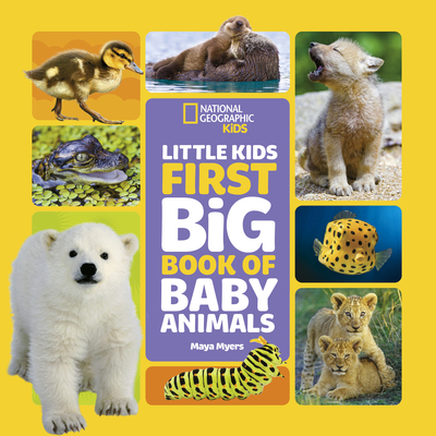 National Geographic Little Kids First Big Book of Baby Animals (National Geographic Little Kids First Big Books) By Maya Myers Cover Image