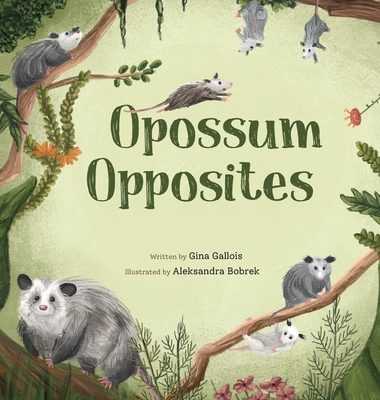 Opossum Opposites By Gina E. Gallois, Aleksandra Bobrek (Illustrator) Cover Image