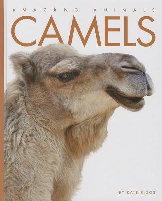 Camels (Amazing Animals) Cover Image