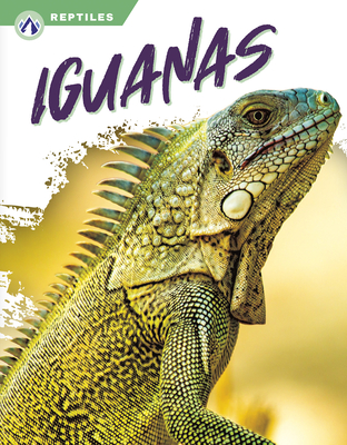 Iguanas Cover Image
