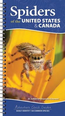 Spiders of the United States & Canada: Easily Identify 158 Common Species (Adventure Quick Guides) Cover Image