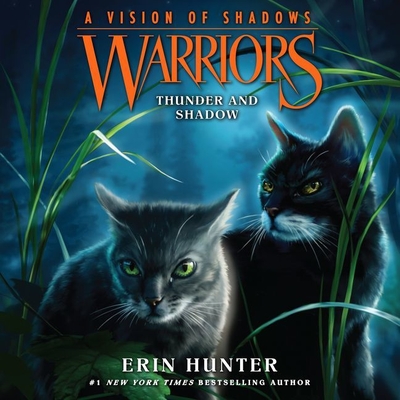 warriors a vision of shadows box set