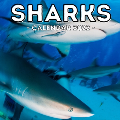 Sharks Calendar 2022: 16-Month Calendar, Cute Gift Idea For Shark Lovers Men And Women Cover Image