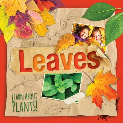 Leaves (Learn about Plants!) By Steffi Cavell-Clarke Cover Image