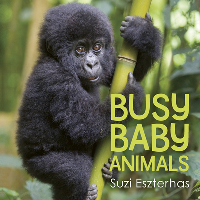 Busy Baby Animals By Suzi Eszterhas Cover Image