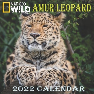 Amur Leopard Calendar 2022: AMUR LEOPARD calendar 2022 