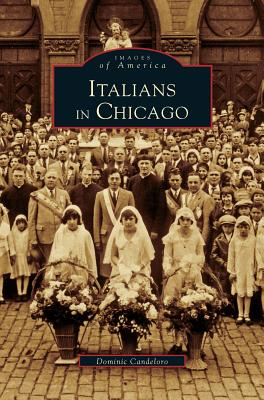 Italians in Chicago Cover Image