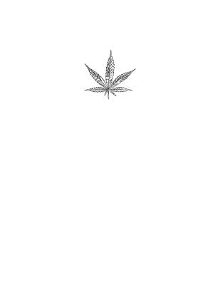 Urban Bis: Notebook 8.5x11 White Glossy Cover with Black Bis Leaf By Tia Cole Cover Image
