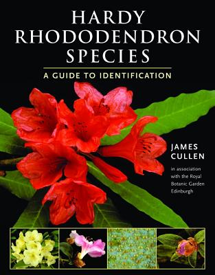 Hardy Rhododendron Species: A Guide to Identification By James Cullen Cover Image