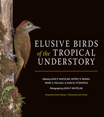 Elusive Birds of the Tropical Understory By John P. Whitelaw, Jeffrey D. Brawn, Henry S. Pollock Cover Image