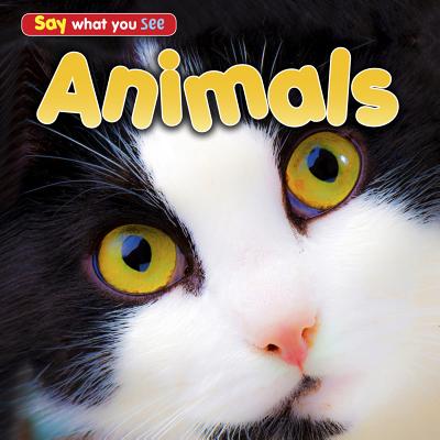 Animals (Say What You See) By Rebecca Rissman Cover Image