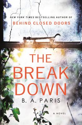 Cover Image for The Breakdown: A Novel