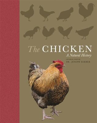 The Chicken: A Natural History Cover Image