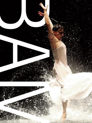 Bam: The Collected Works By Steven Serafin (Editor) Cover Image