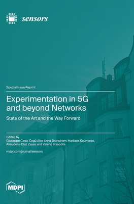 Experimentation in 5G and beyond Networks: State of the Art and the Way Forward Cover Image