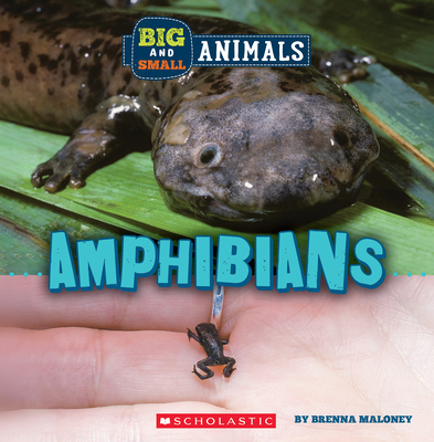 Amphibians (Wild World: Big and Small Animals) Cover Image