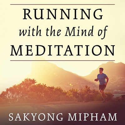 洋書 The way of Practicing Meditation 9780834822825.png