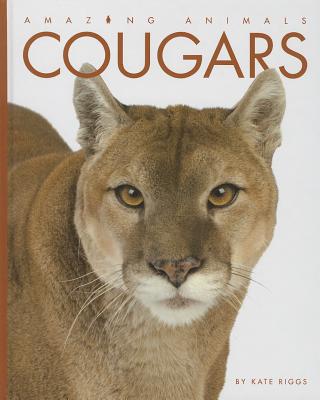Cougars (Amazing Animals (Creative Education Hardcover)) Cover Image