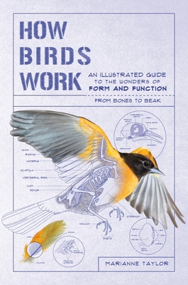 How Birds Work: An Illustrated Guide to the Wonders of Form and Function - from Bones to Beak (How Nature Works) Cover Image