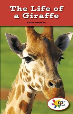 The Life of a Giraffe (Rosen Real Readers: Stem and Steam Collection) By Katie Smythe Cover Image