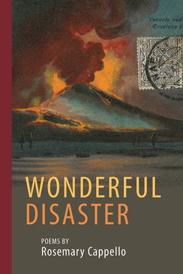 Wonderful Disaster (Via Folios #142) Cover Image
