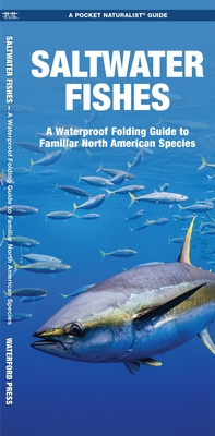 Saltwater Fishes: A Waterproof Folding Guide to Familiar North American Species By Raymond Leung (Illustrator), Waterford Press (Editor) Cover Image