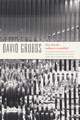 Now That the Audience Is Assembled By David Grubbs Cover Image