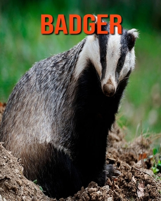 Badger: Amazing Facts about Badger Cover Image