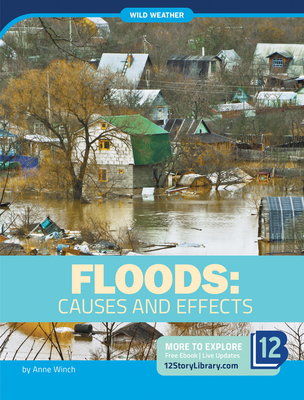 Floods: Causes and Effects By Anne Winch Cover Image