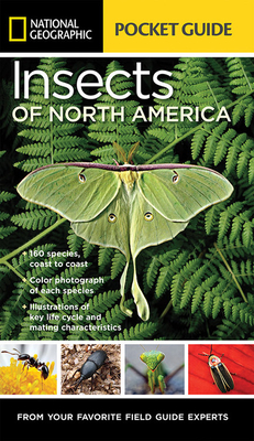 National Geographic Pocket Guide to Insects of North America By Arthur V. Evans, Jared Travnicek (Illustrator), Fernando Baptista (Illustrator) Cover Image