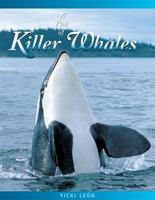A Pod of Killer Whales: The Mysterious Life of the Intelligent Orca (Jean-Michel Cousteau Presents) By Vicki León, Jeff Foott (Photographer) Cover Image