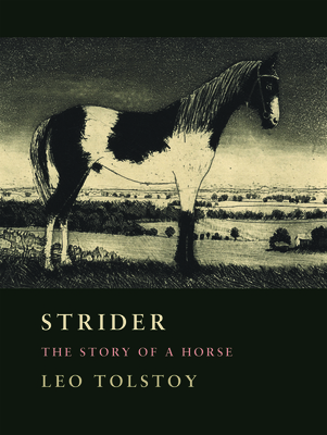 Strider: The Story of a Horse Cover Image