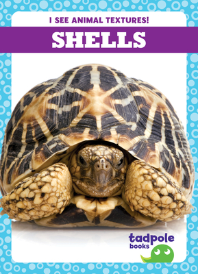 Shells By Jenna Lee Gleisner Cover Image