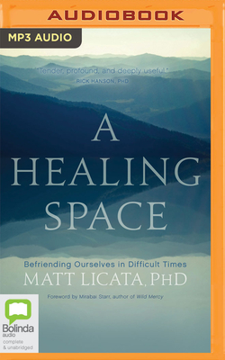 A Healing Space: Befriending Ourselves in Difficult Times By Matt Licata, Susie Godfrey (Read by) Cover Image