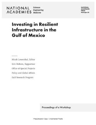 Investing in Resilient Infrastructure in the Gulf of Mexico: Proceedings of a Workshop By National Academies of Sciences Engineeri, Gulf Research Program, Policy and Global Affairs Cover Image