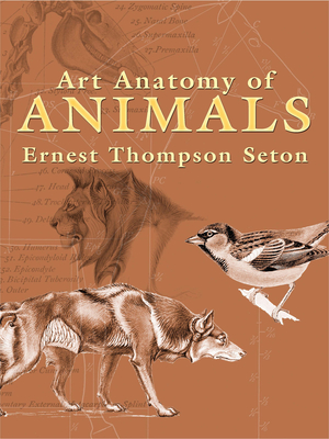 Art Anatomy of Animals (Dover Anatomy for Artists)