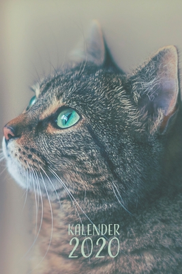 Kalender 2020: Katzen Katze Terminplaner Planer Wochenplaner I Geschenk für Babykatzen Fans Katzenliebhaber Katzenbesitzer Frauen zum Cover Image