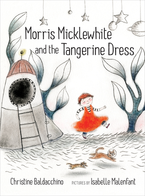 Cover for Morris Micklewhite and the Tangerine Dress