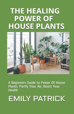 indoor plant pot hangers Havana Hanging Pot – Pigment