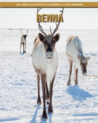 Renna: Un libro illustrato sui Renna e i loro bambini By Kari Walker Cover Image