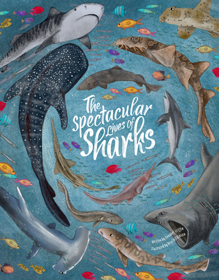 Spectacular Lives of Sharks By Annabel Griffin, Rose Wilkinson (Illustrator) Cover Image