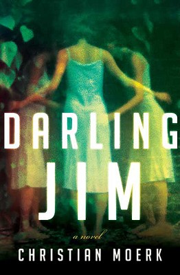 Cover Image for Darling Jim: A Novel