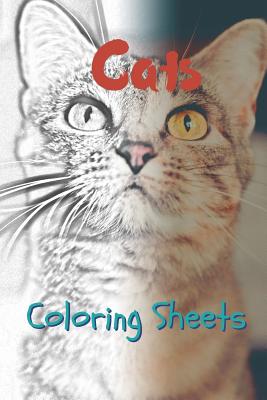 Cat Coloring Sheets: 30 Cat Drawings, Coloring Sheets Adults Relaxation, Coloring Book for Kids, for Girls, Volume 4 By Julian Smith Cover Image