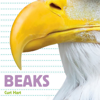 Cover for Beaks (Whose Is It?)