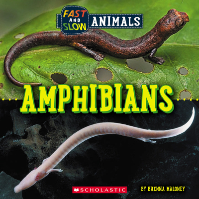 Fast and Slow: Amphibians (Wild World) By Brenna Maloney Cover Image