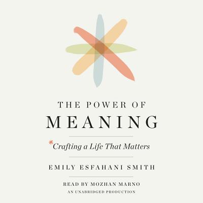 The Power of Meaning: Crafting a Life That Matters Cover Image