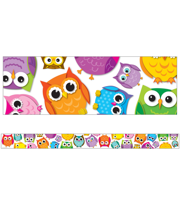 Colorful Owls Straight Bulletin Board Borders Cover Image