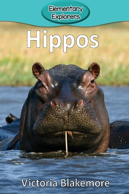 Hippos (Elementary Explorers #34) By Victoria Blakemore Cover Image