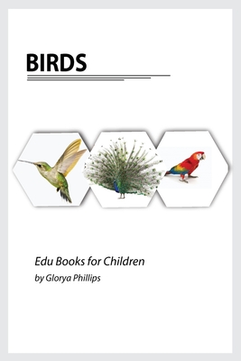 Birds: Montessori real birds book, bits of intelligence for baby and toddler, children's book, learning resources. By Glorya Phillips Cover Image