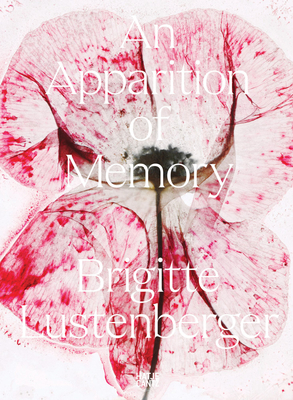 Brigitte Lustenberger: An Apparition of Memory